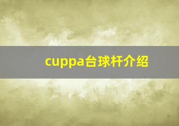 cuppa台球杆介绍