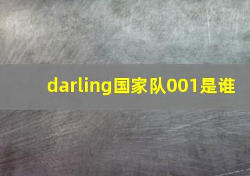 darling国家队001是谁