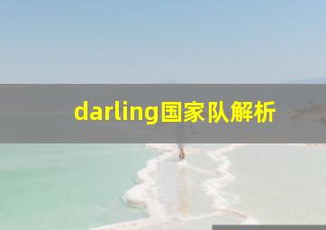 darling国家队解析