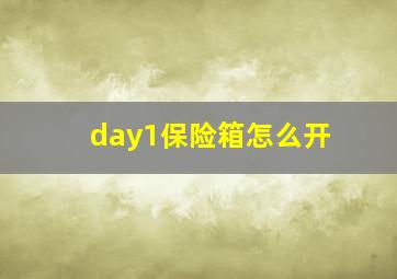 day1保险箱怎么开