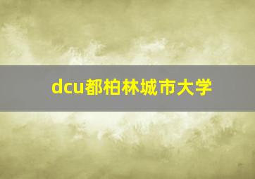 dcu都柏林城市大学