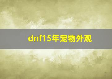 dnf15年宠物外观