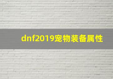 dnf2019宠物装备属性