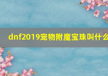 dnf2019宠物附魔宝珠叫什么