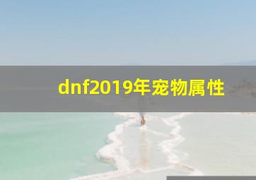 dnf2019年宠物属性