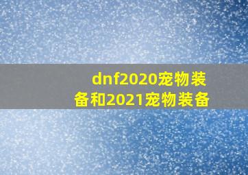 dnf2020宠物装备和2021宠物装备