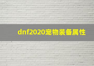 dnf2020宠物装备属性