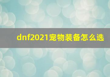 dnf2021宠物装备怎么选