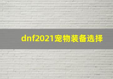 dnf2021宠物装备选择