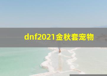 dnf2021金秋套宠物