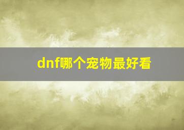 dnf哪个宠物最好看