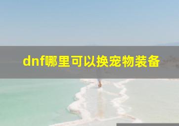 dnf哪里可以换宠物装备