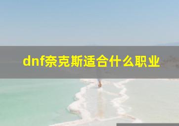 dnf奈克斯适合什么职业