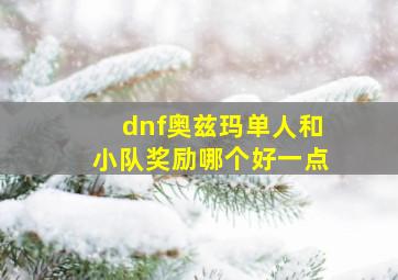 dnf奥兹玛单人和小队奖励哪个好一点