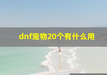 dnf宠物20个有什么用