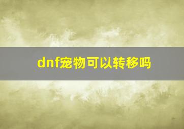 dnf宠物可以转移吗