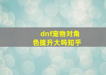 dnf宠物对角色提升大吗知乎