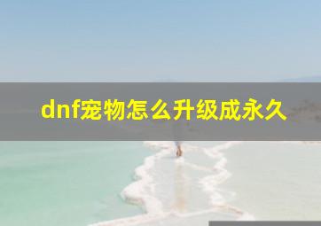 dnf宠物怎么升级成永久