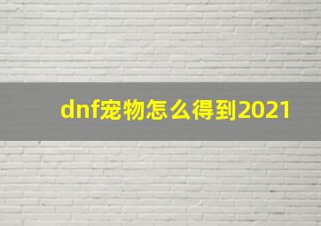 dnf宠物怎么得到2021