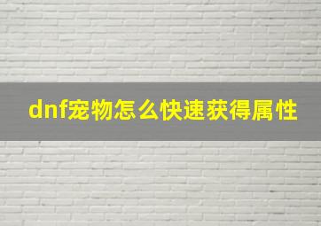 dnf宠物怎么快速获得属性