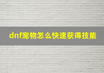 dnf宠物怎么快速获得技能