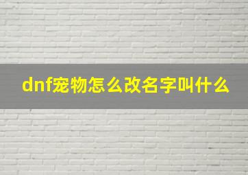 dnf宠物怎么改名字叫什么