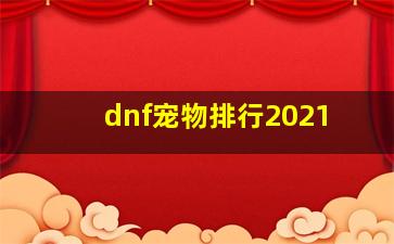 dnf宠物排行2021