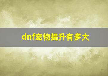 dnf宠物提升有多大