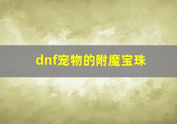 dnf宠物的附魔宝珠