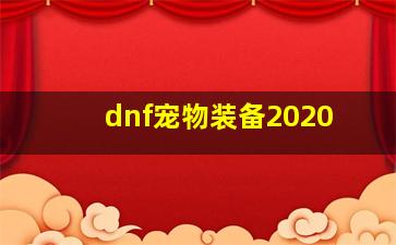 dnf宠物装备2020