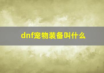 dnf宠物装备叫什么