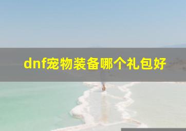 dnf宠物装备哪个礼包好