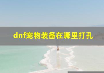 dnf宠物装备在哪里打孔