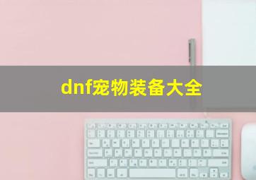 dnf宠物装备大全