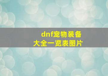 dnf宠物装备大全一览表图片