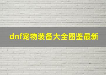 dnf宠物装备大全图鉴最新