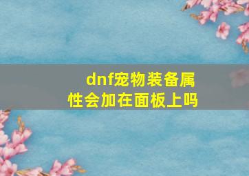 dnf宠物装备属性会加在面板上吗