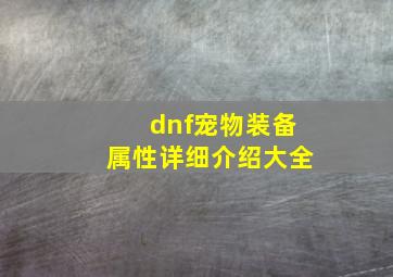 dnf宠物装备属性详细介绍大全