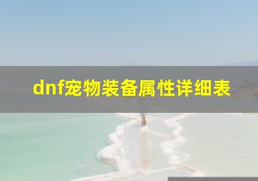 dnf宠物装备属性详细表