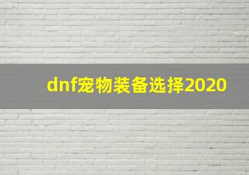 dnf宠物装备选择2020