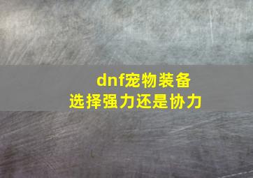 dnf宠物装备选择强力还是协力