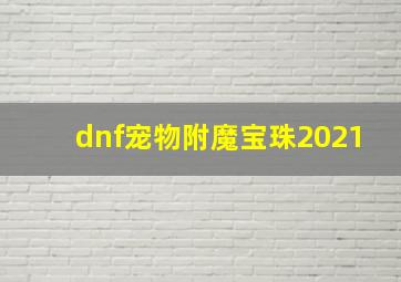 dnf宠物附魔宝珠2021