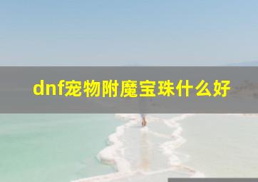 dnf宠物附魔宝珠什么好