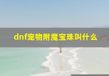 dnf宠物附魔宝珠叫什么