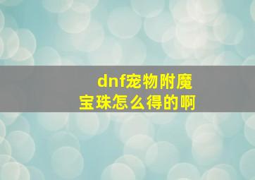 dnf宠物附魔宝珠怎么得的啊