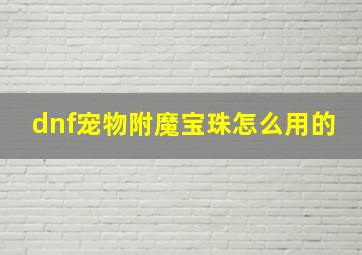 dnf宠物附魔宝珠怎么用的