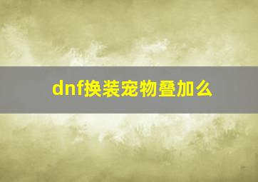 dnf换装宠物叠加么