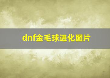 dnf金毛球进化图片