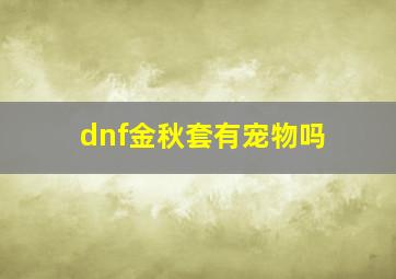 dnf金秋套有宠物吗