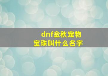 dnf金秋宠物宝珠叫什么名字